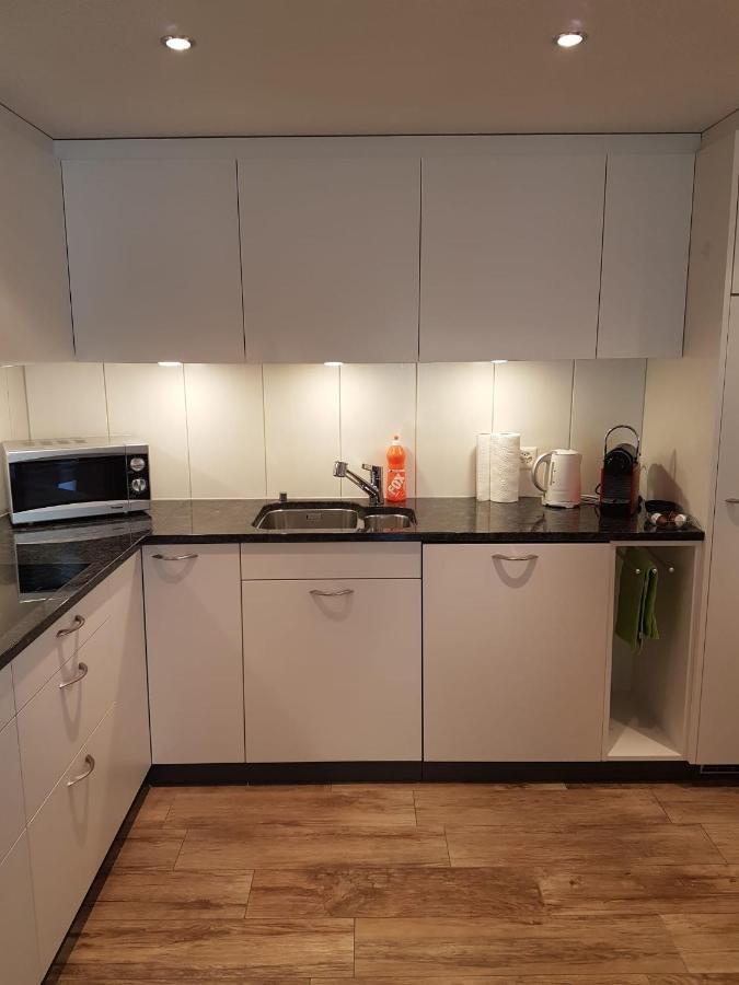 Chalet Grueneggli 阿德尔博登 外观 照片