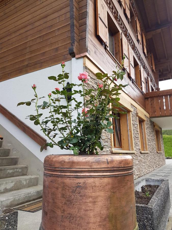 Chalet Grueneggli 阿德尔博登 外观 照片