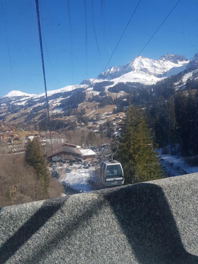 Chalet Grueneggli 阿德尔博登 外观 照片