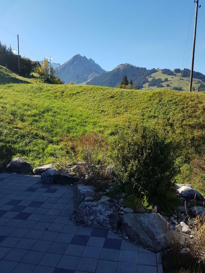 Chalet Grueneggli 阿德尔博登 外观 照片
