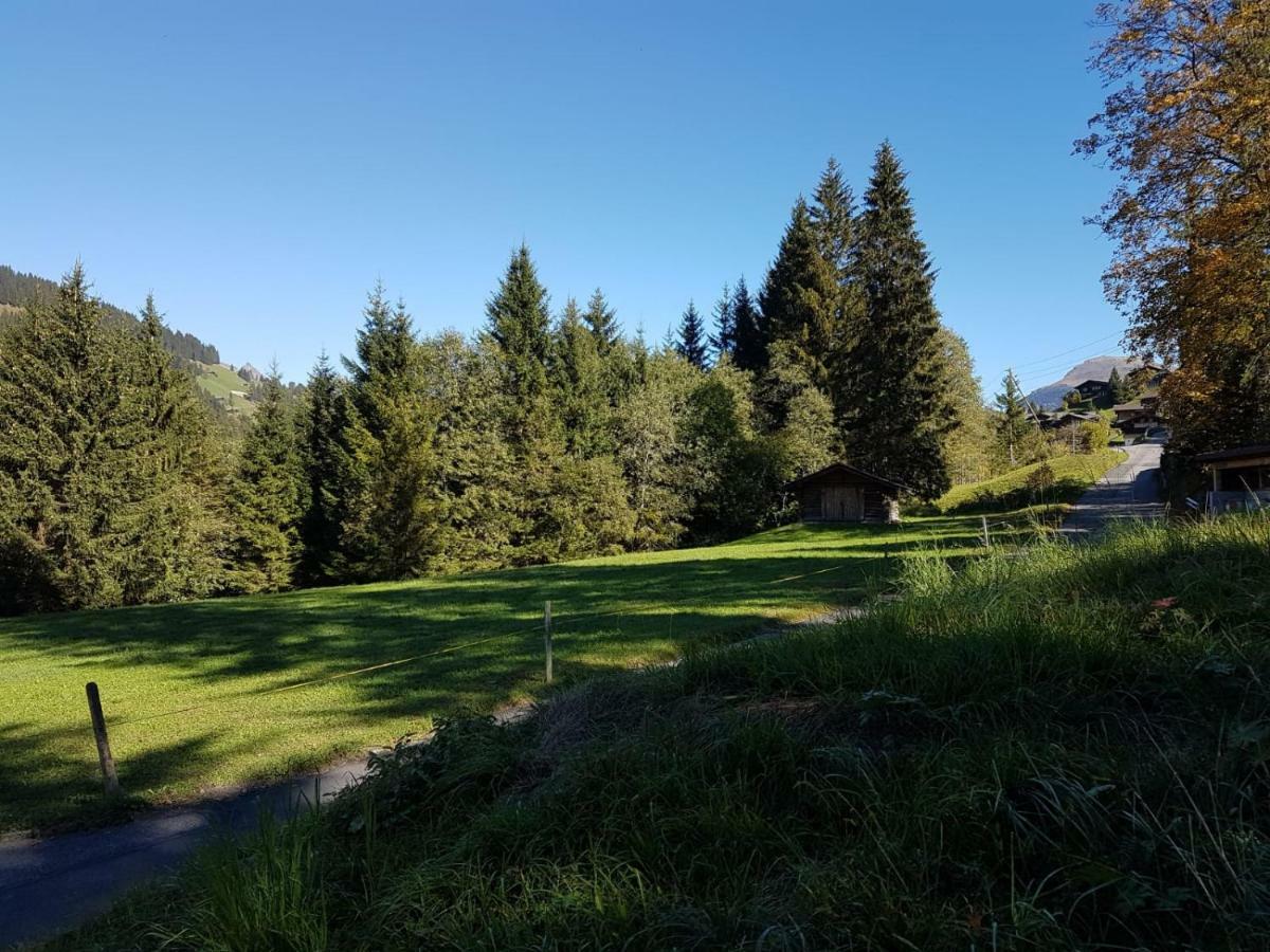 Chalet Grueneggli 阿德尔博登 外观 照片