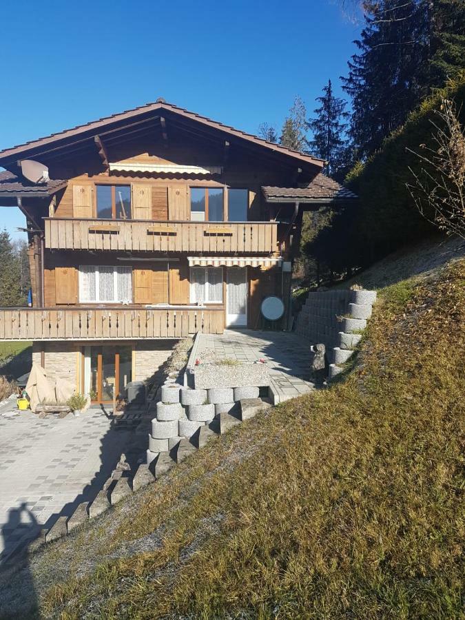Chalet Grueneggli 阿德尔博登 外观 照片