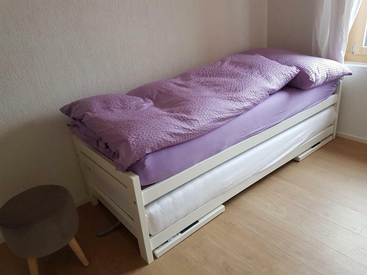 Chalet Grueneggli 阿德尔博登 外观 照片